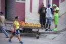 Cuba : Fruit and vegetable stall in Havana  -  23.03.2017  -  Cuba 